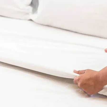 Cedar & Restaurant Newbawn