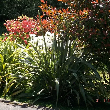 Hotel Cedar & Restaurant 4*