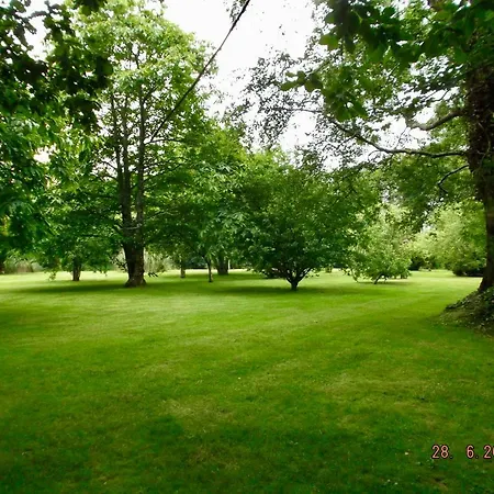 Cedar & Restaurant Hotel Newbawn