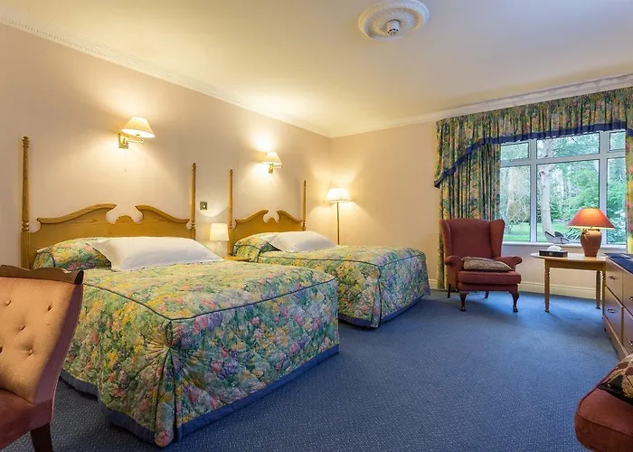 Cedar & Restaurant 호텔