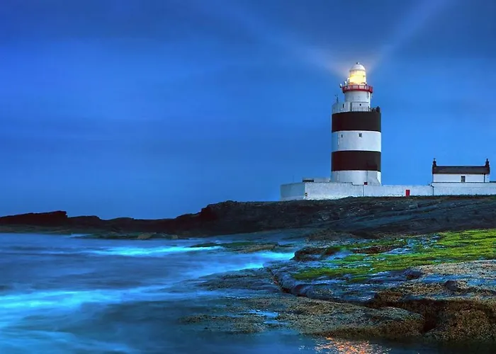 Cedar & Restaurant 호텔 Newbawn